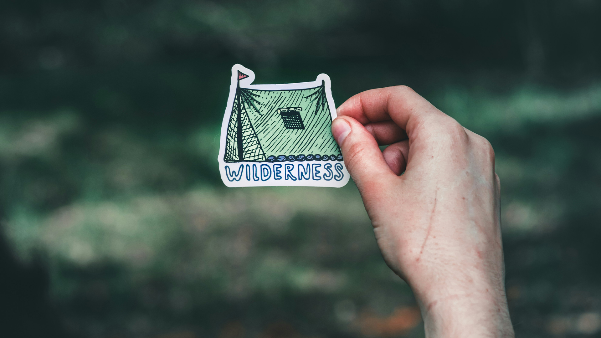 Wilderness Die Cut Sticker in Hand for Weatherproof Stickers Educational Blog