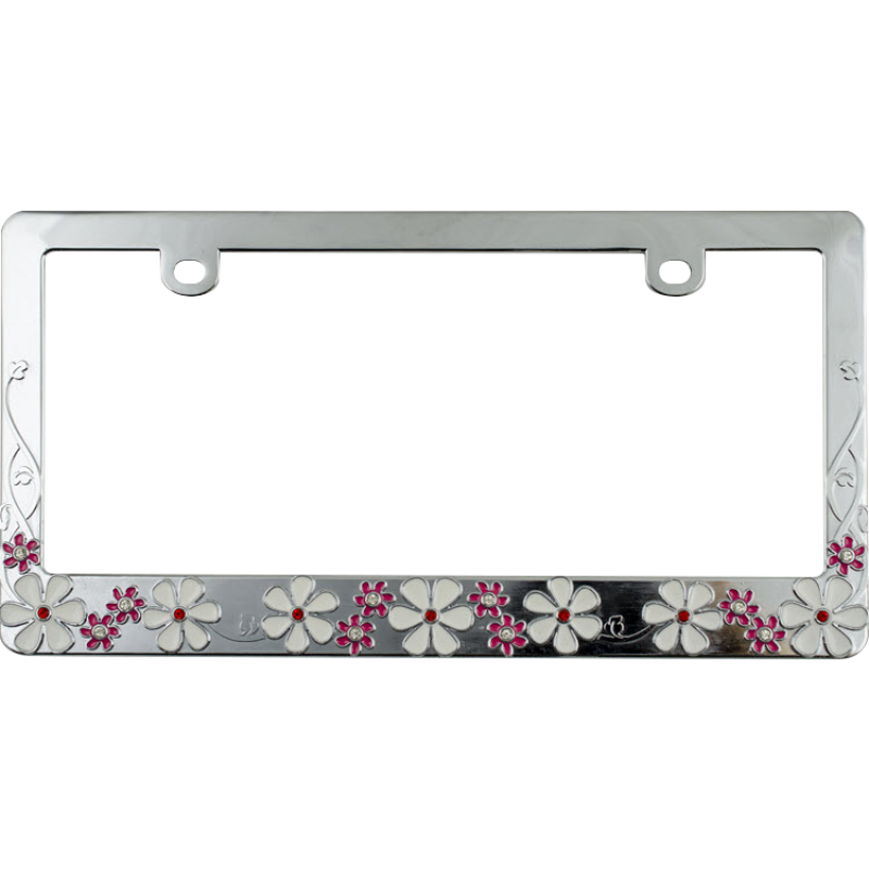 Custom Designer License Plate Frames At Affordable Prices!