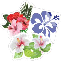 Hibiscus Tropical Flower Stickers Decal for Car, Large Hawaiian Flower  Holographic Vinyl Sticker for Trunk, Window, Bumper, Side, 6 x 6 in (Blue)  