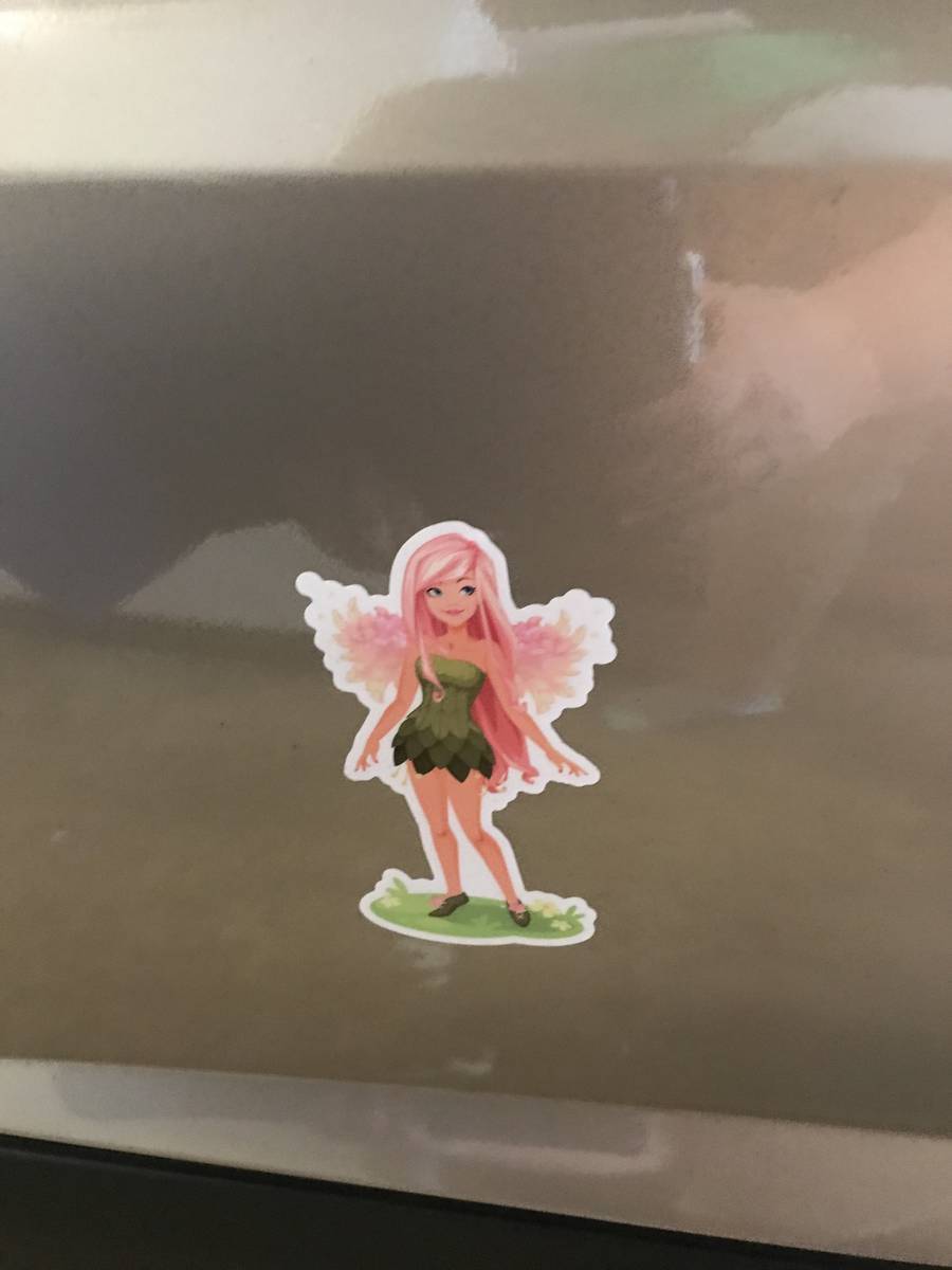 Mariann's photograph of their Fairy Flying Among The Stars Sticker