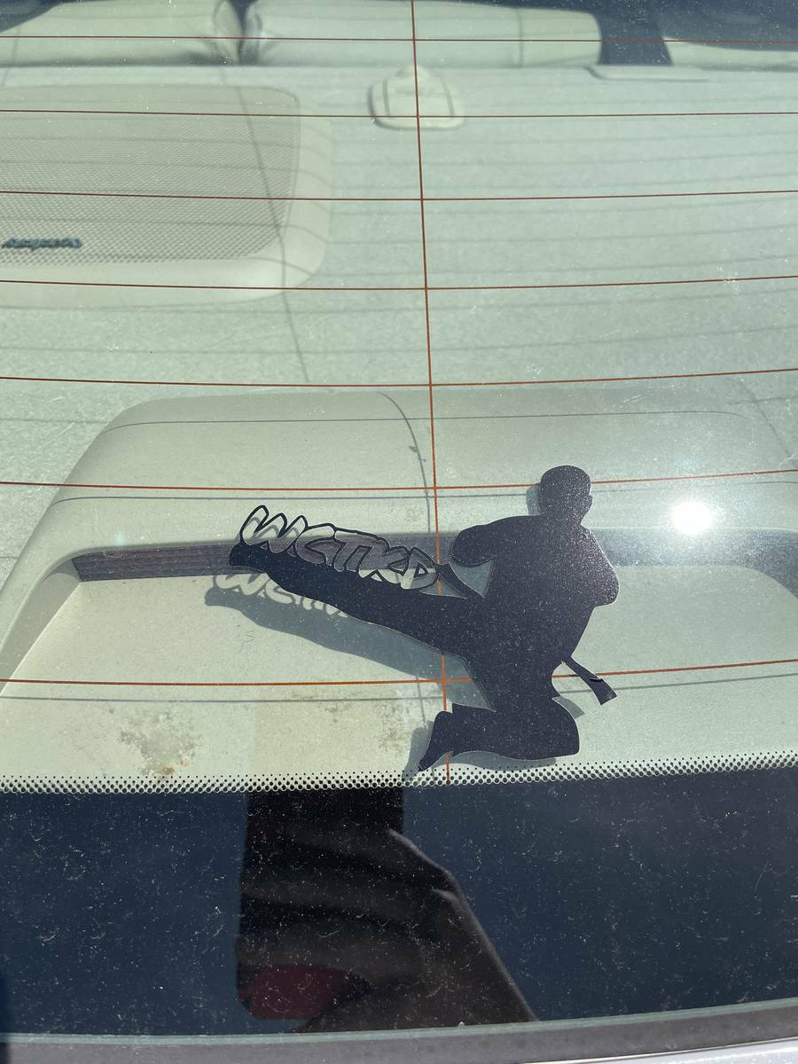 Katie's photograph of their Transfer Stickers