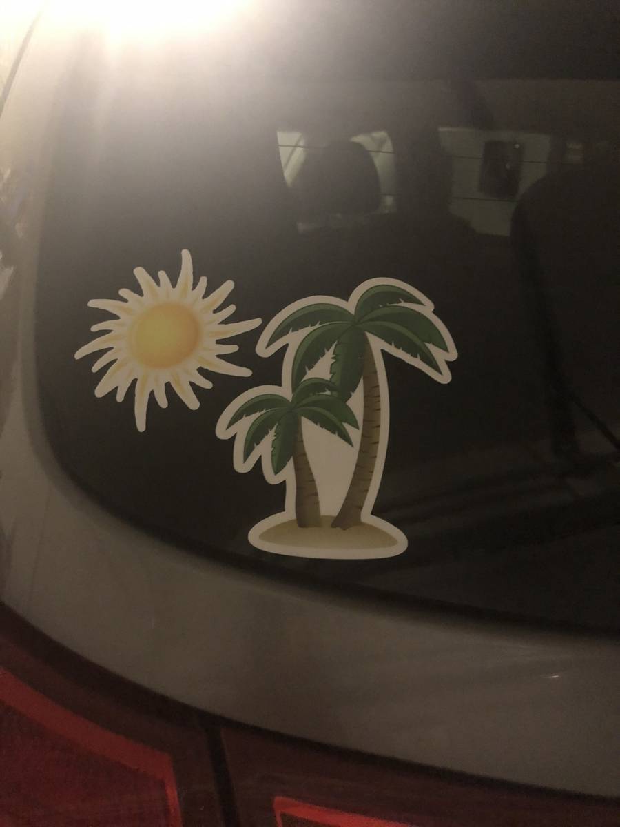 Mindy's photograph of their Palm Trees on the Beach Sticker