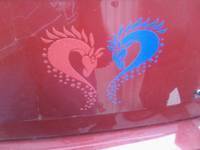 Michael's photograph of their Dragon With Stars Sticker