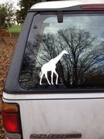 Dakota's photograph of their Walking Giraffe Sticker