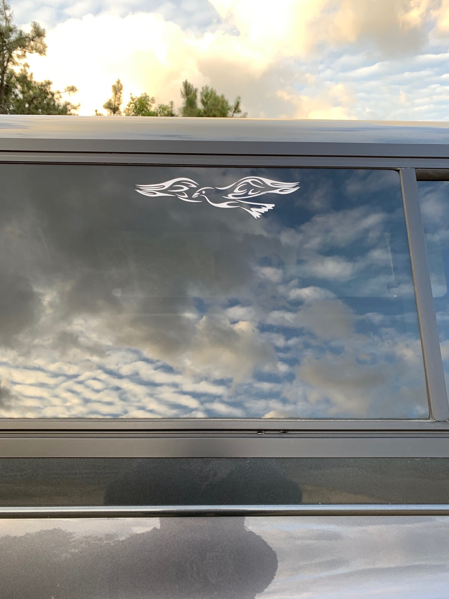 Pamela's photograph of their Flaming Dove Sticker