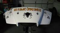 Lee's photograph of their Spiders In Web Sticker