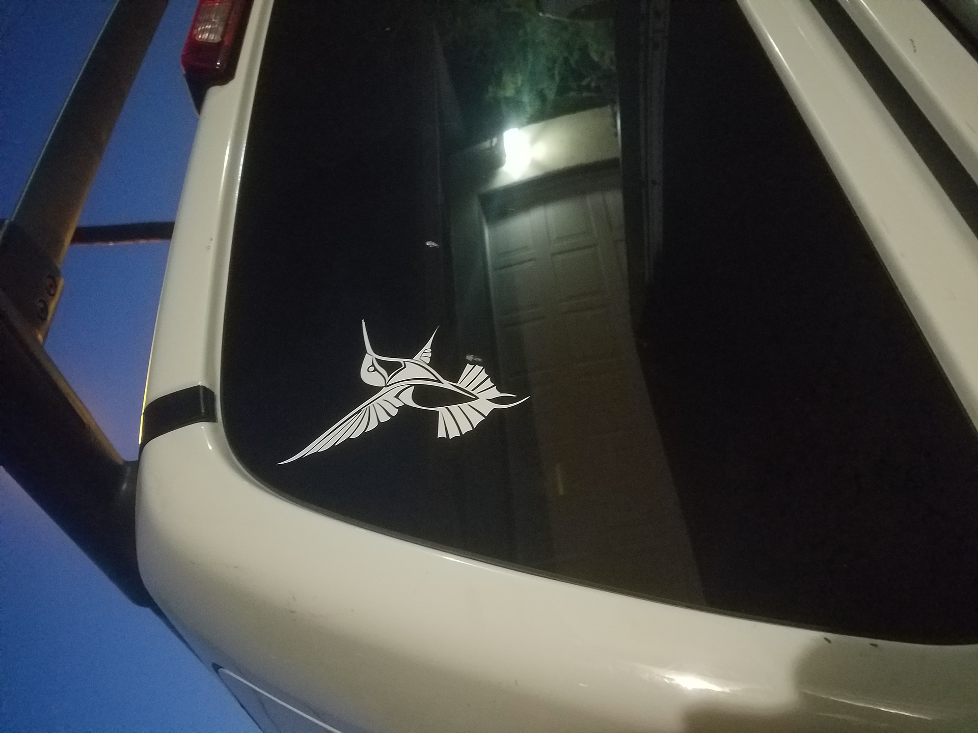 Christina's photograph of their Detailed Hummingbird Sticker