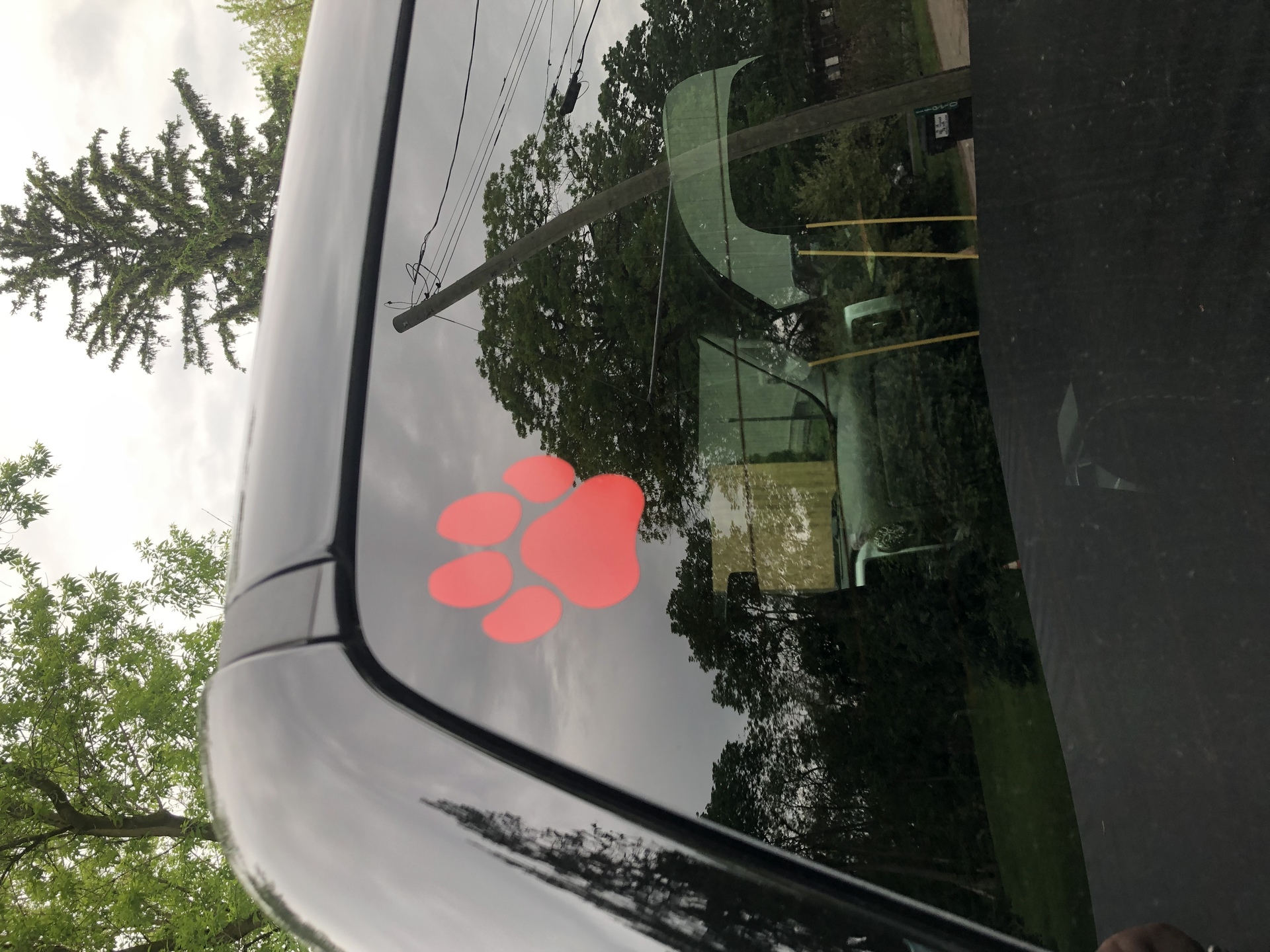 Shelbi's photograph of their Single Dog Paw Print Sticker