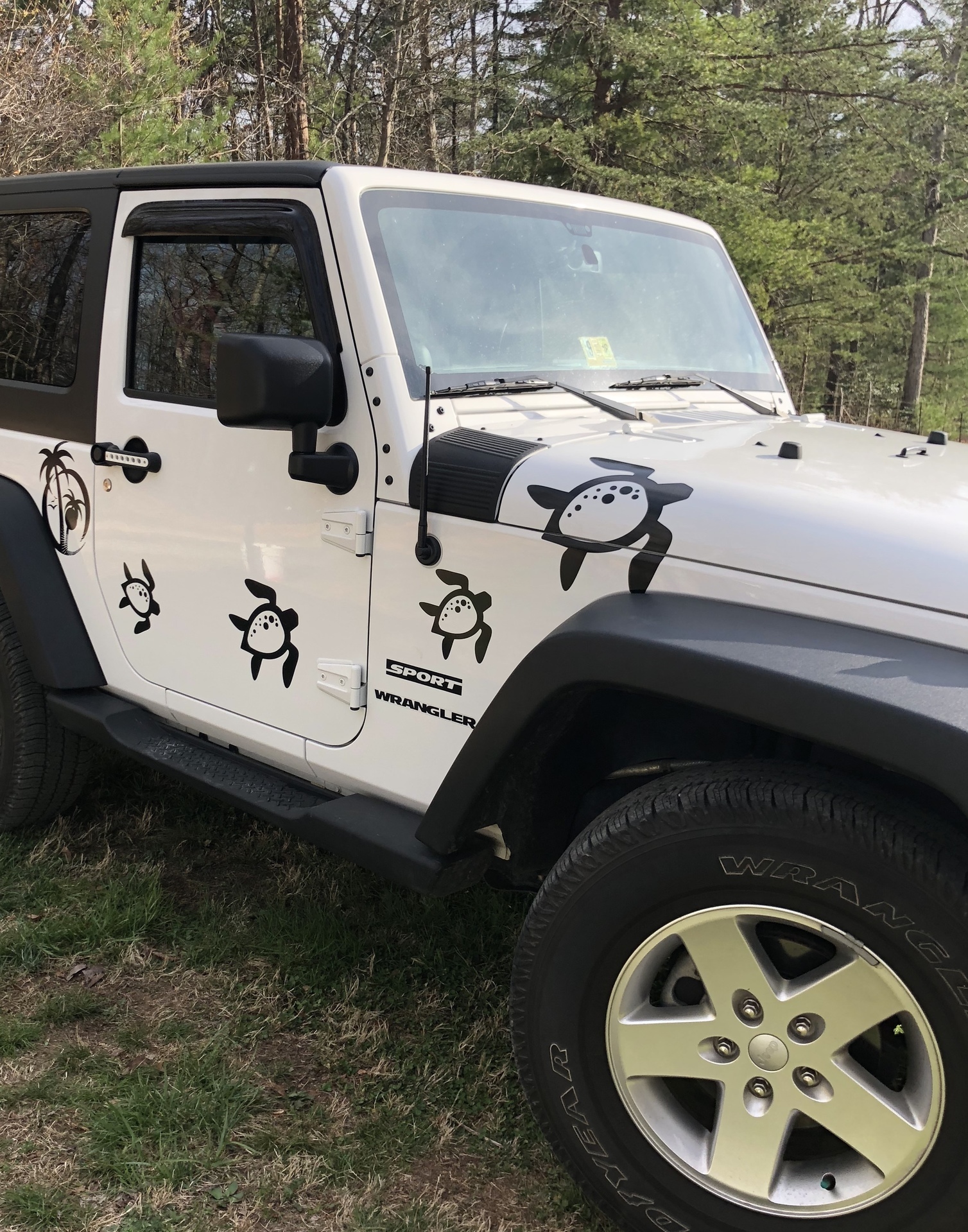 Lucy's photograph of their Hawaiian Turtle With Spots Sticker