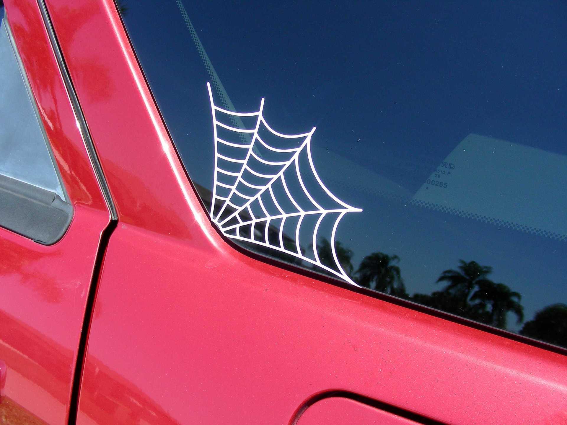Sal's photograph of their Long Legged Spider Sticker