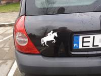 Janusz's photograph of their Cowboy Riding A Horse Sticker