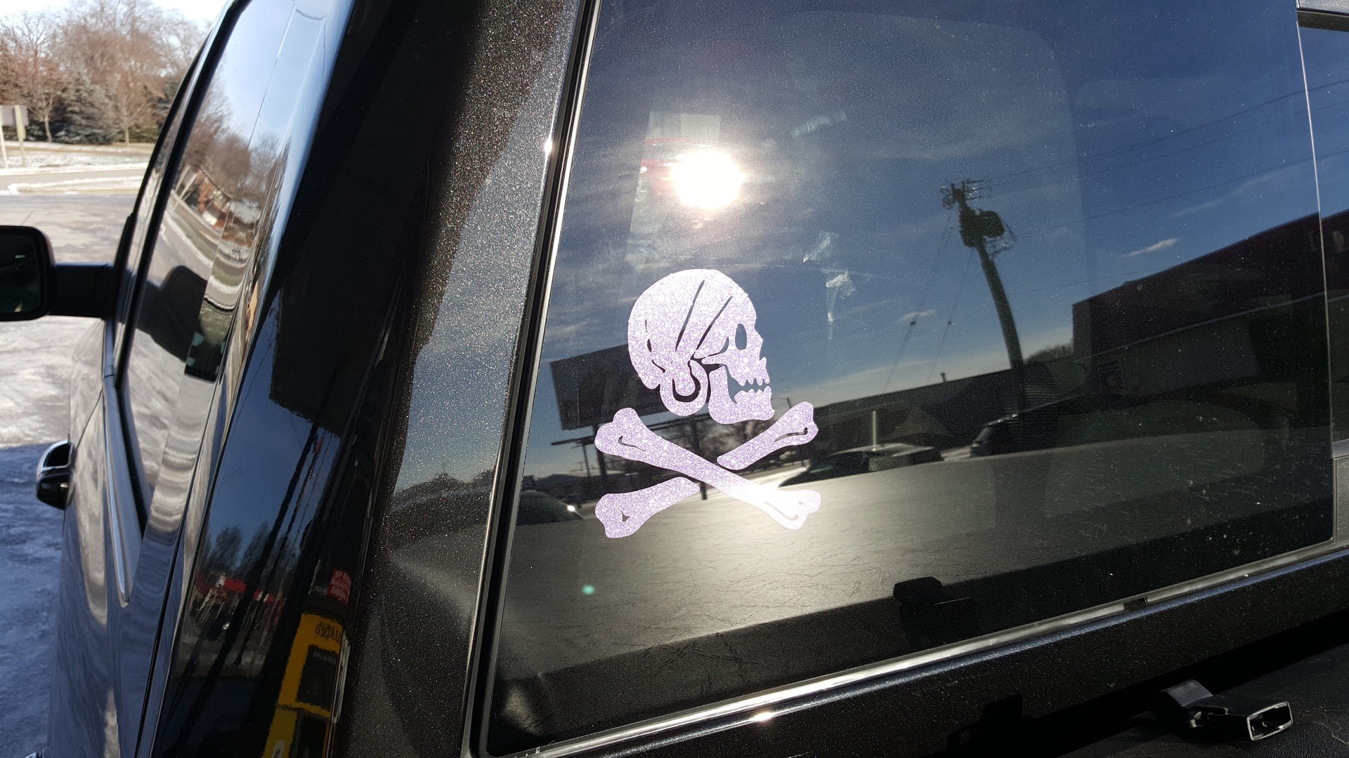 Aaron's photograph of their Skull Looking To The Right And Cross Bones Sticker