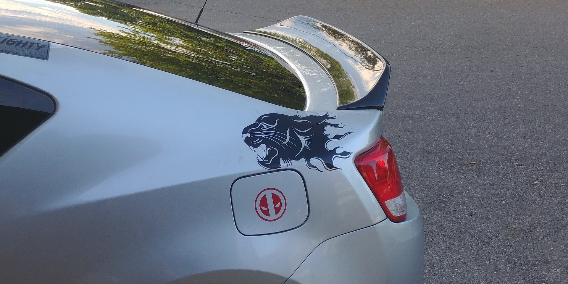 Diego's photograph of their Panther Head In Flames Sticker