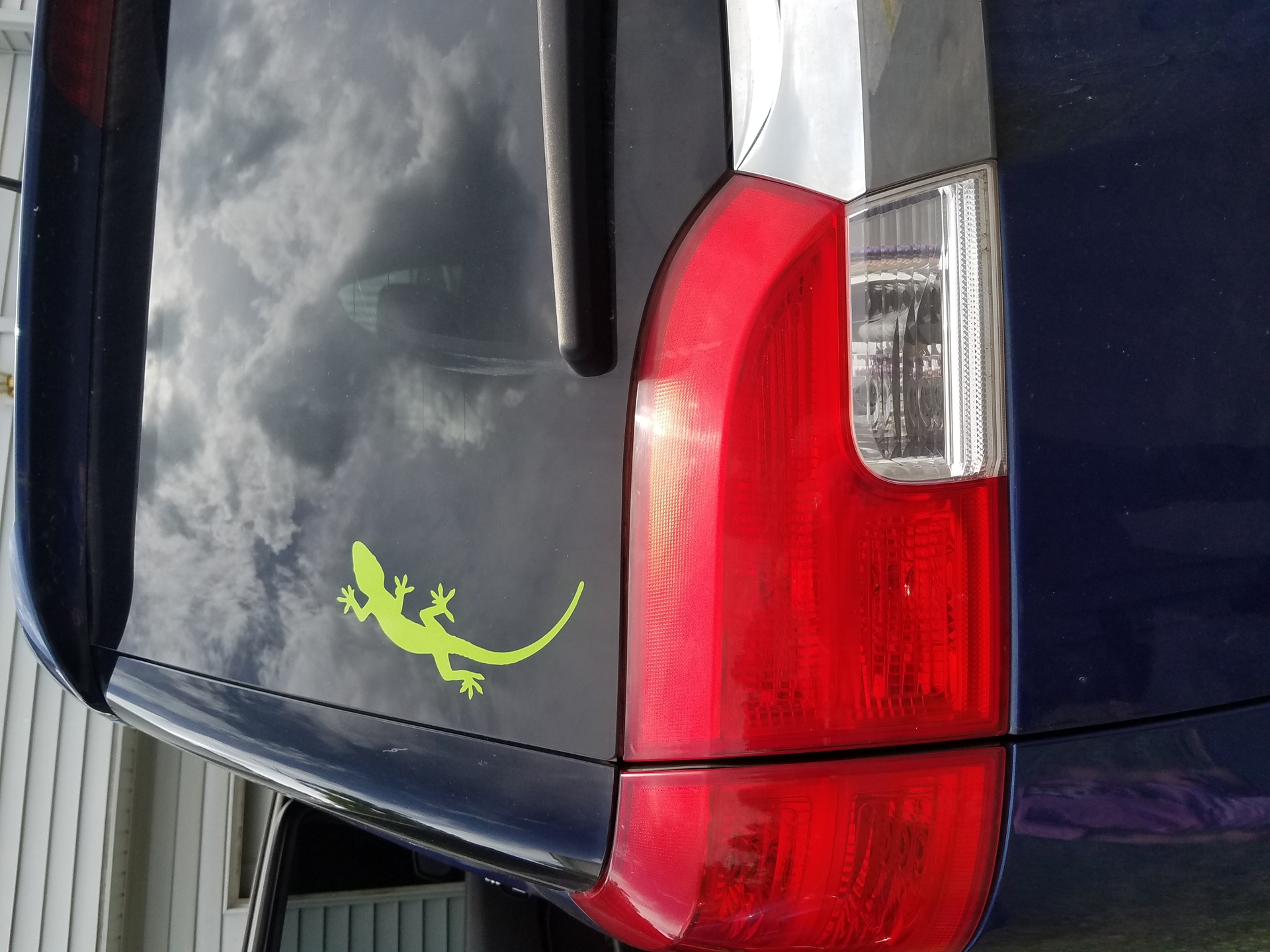 Amber's photograph of their Cute Lizard Gecko Sticker