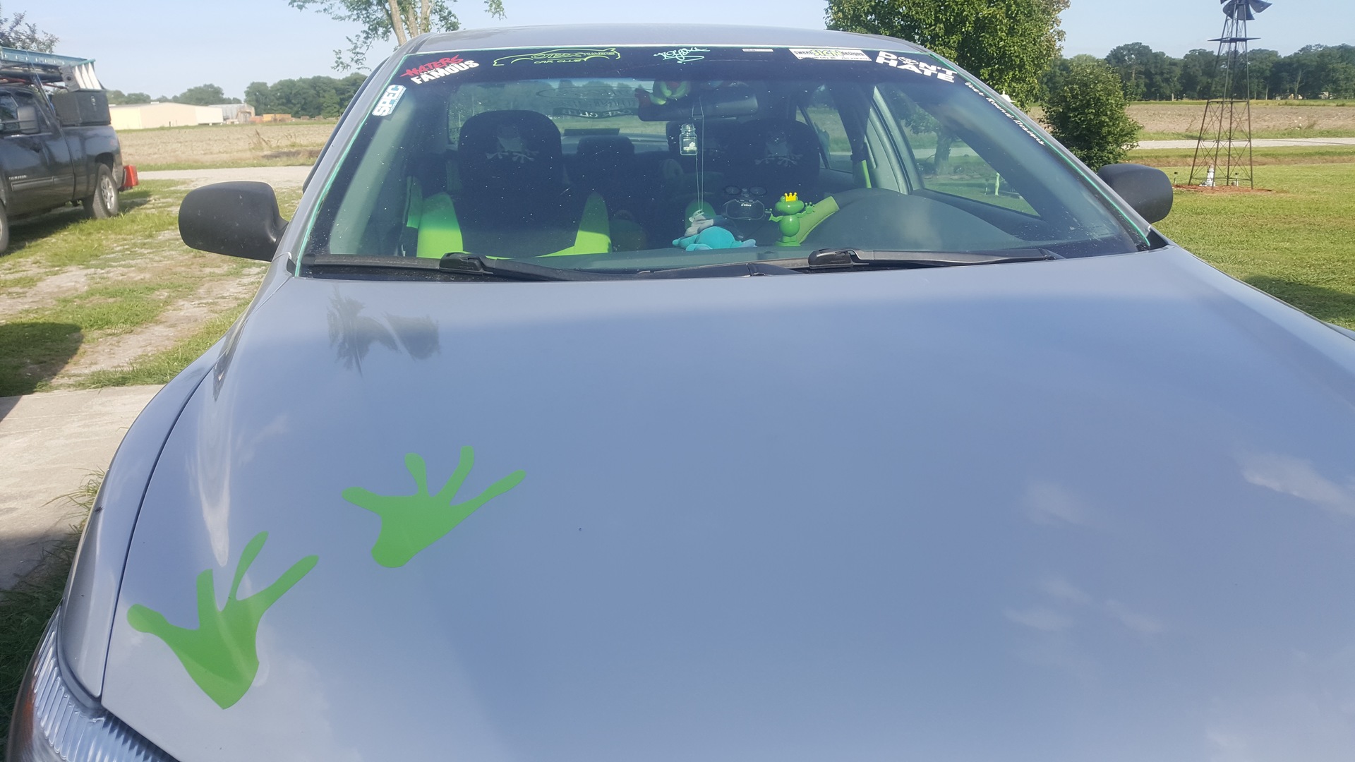 Jenny's photograph of their Two Frog Toad Footprints Sticker