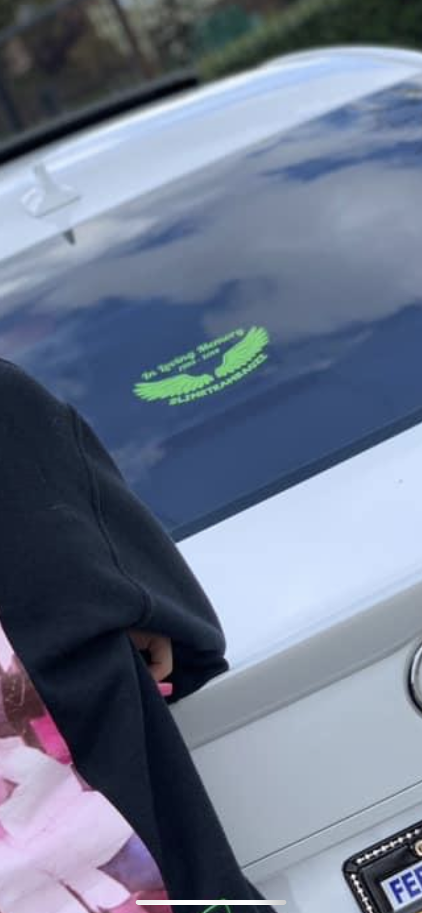 Phoenix's photograph of their In Loving Memory Angel Wings Sticker