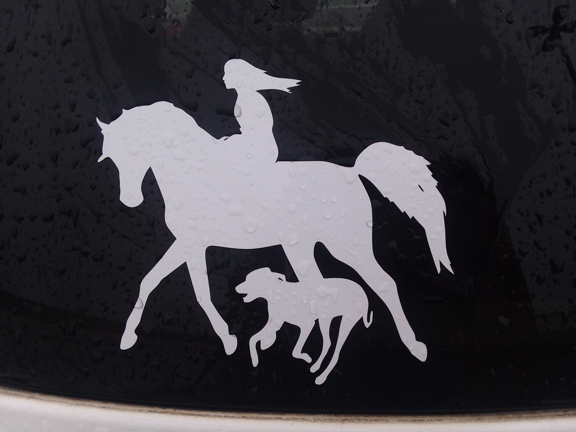 Katie's photograph of their Transfer Stickers