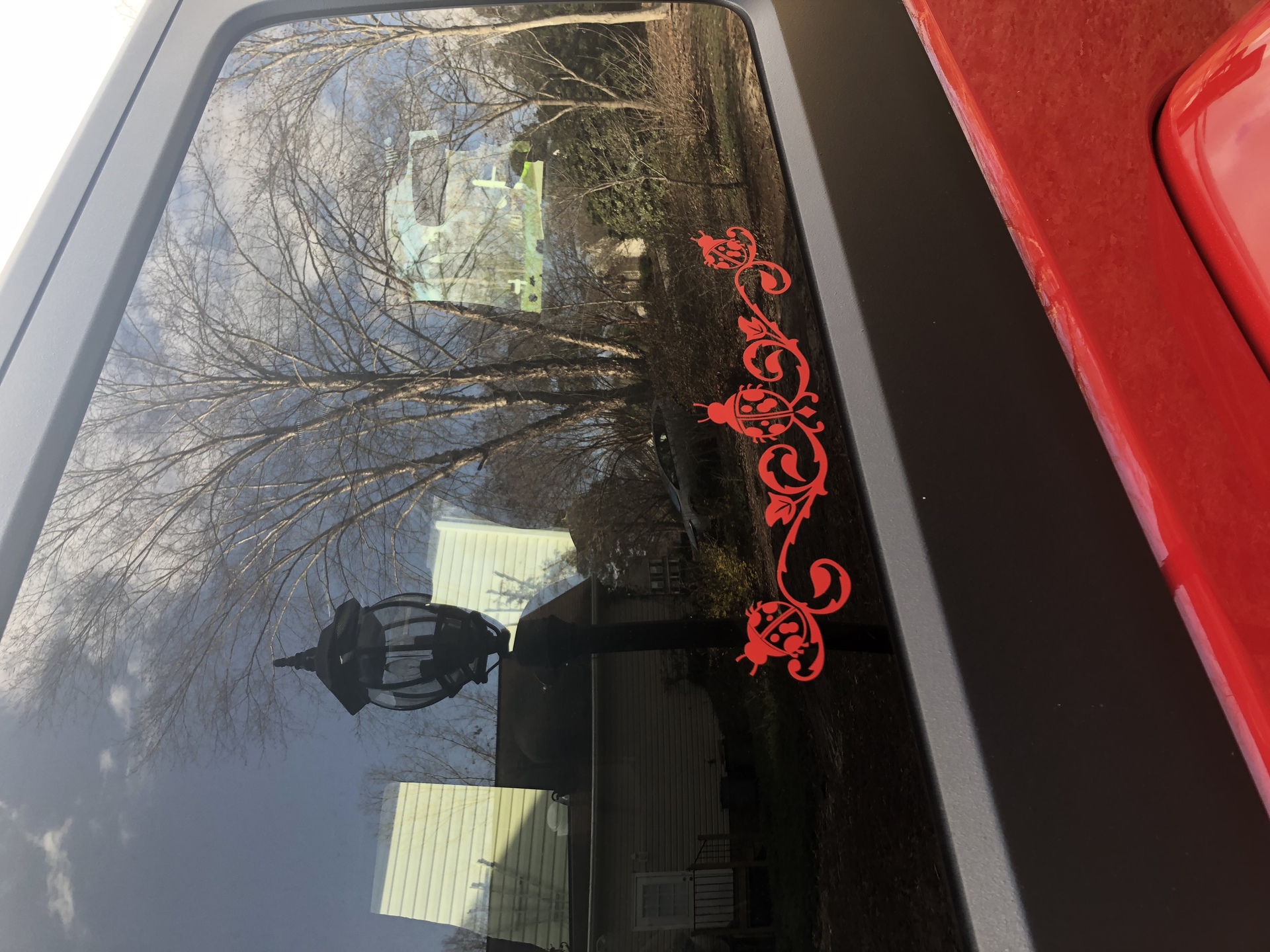 Tina's photograph of their Ladybugs Decorative Border Sticker