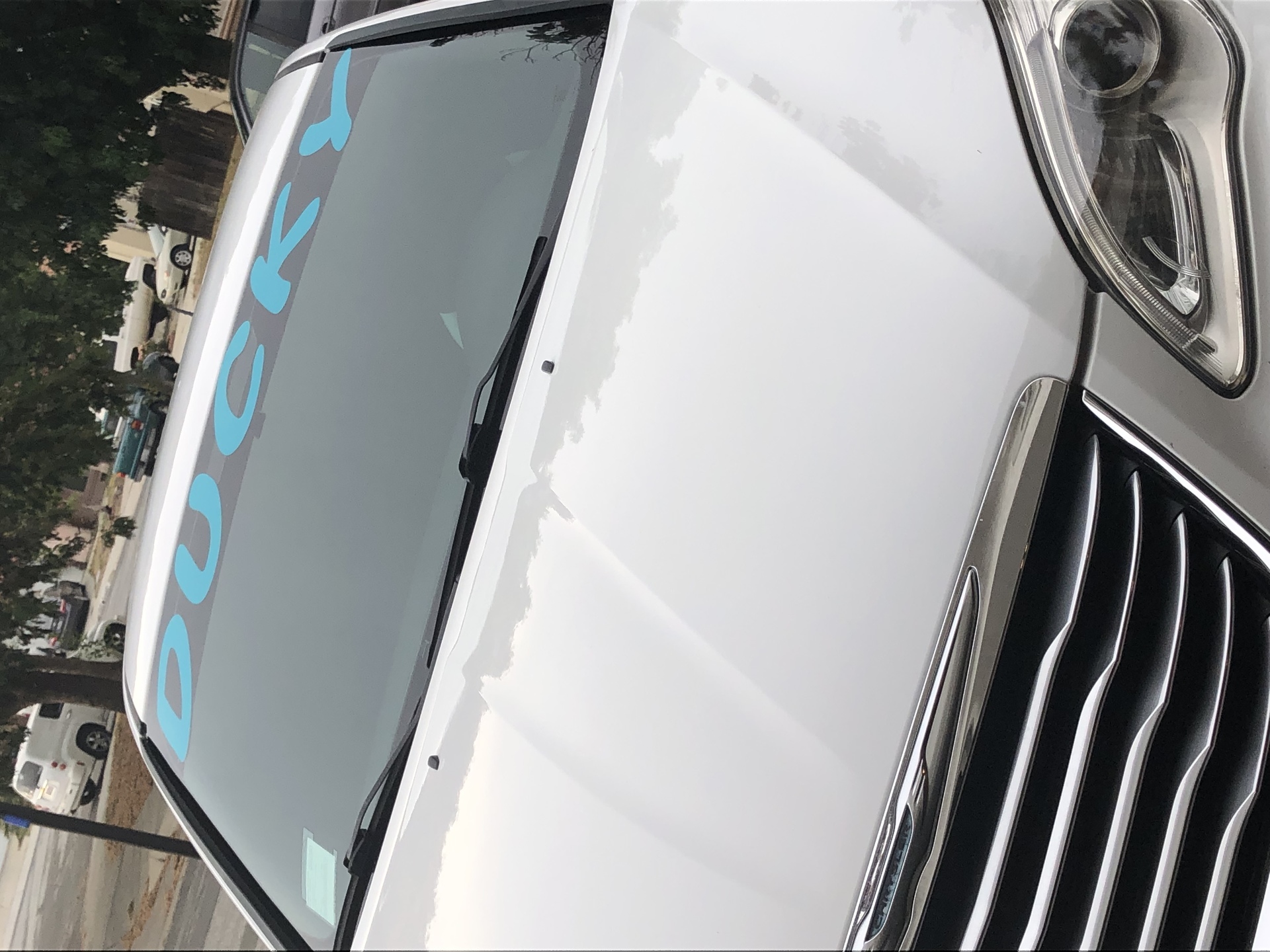 Rebecca's photograph of their Windshield Stickers