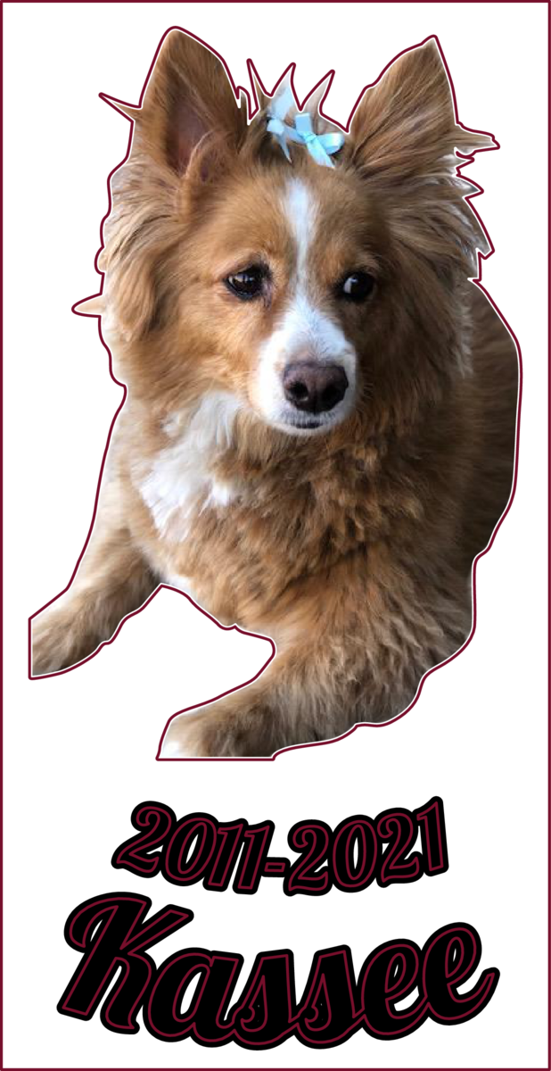 Joselito's photograph of their Custom In Loving Memory with Any Photo Sticker