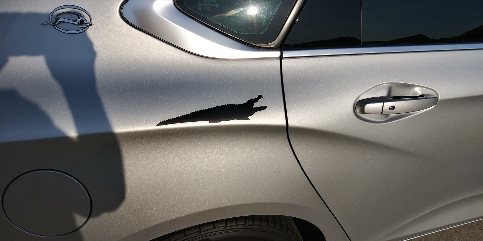 Richard's photograph of their Classic Long Alligator Crocodile Sticker