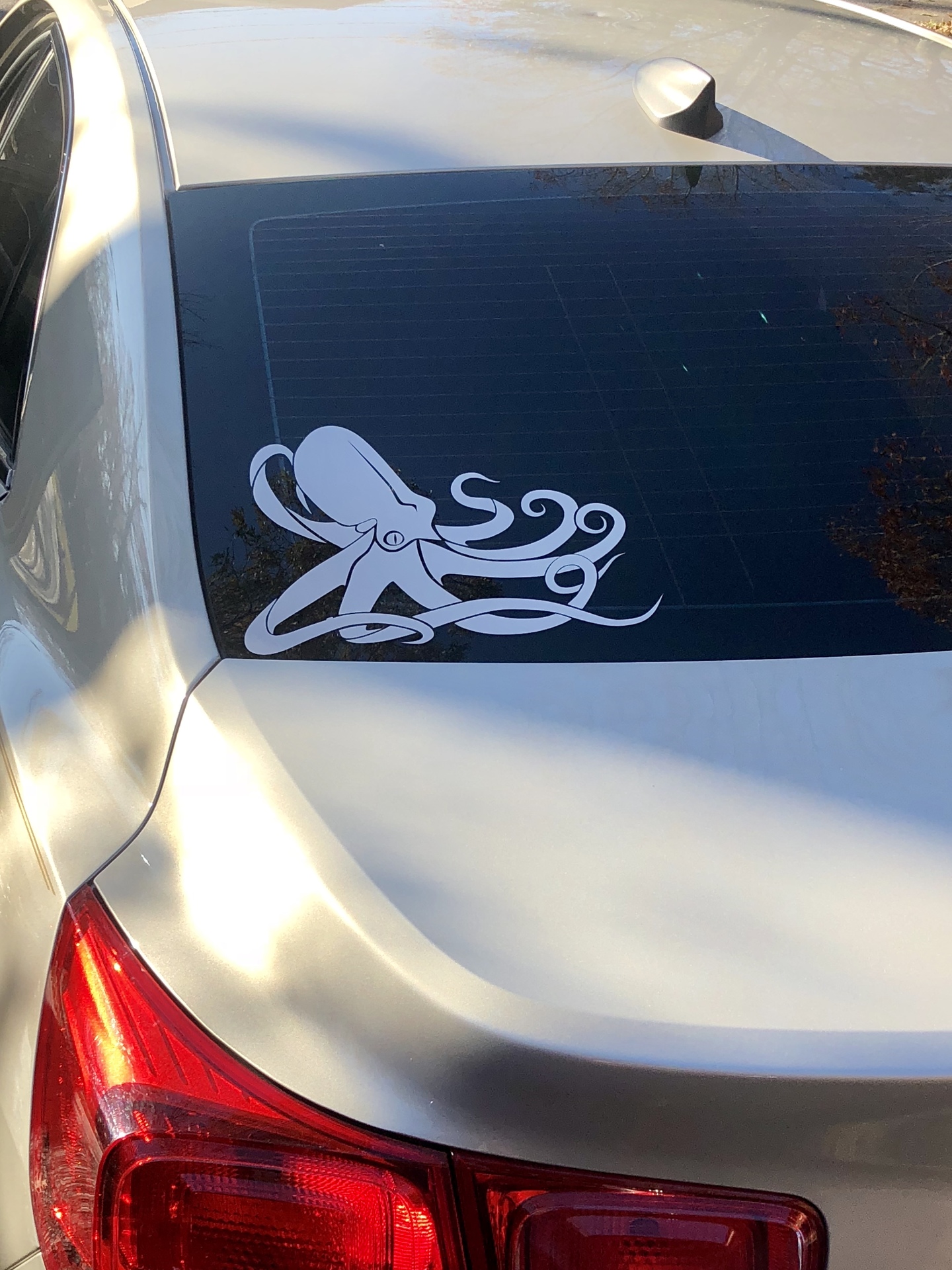 Roland's photograph of their Realistic Octopus Sticker