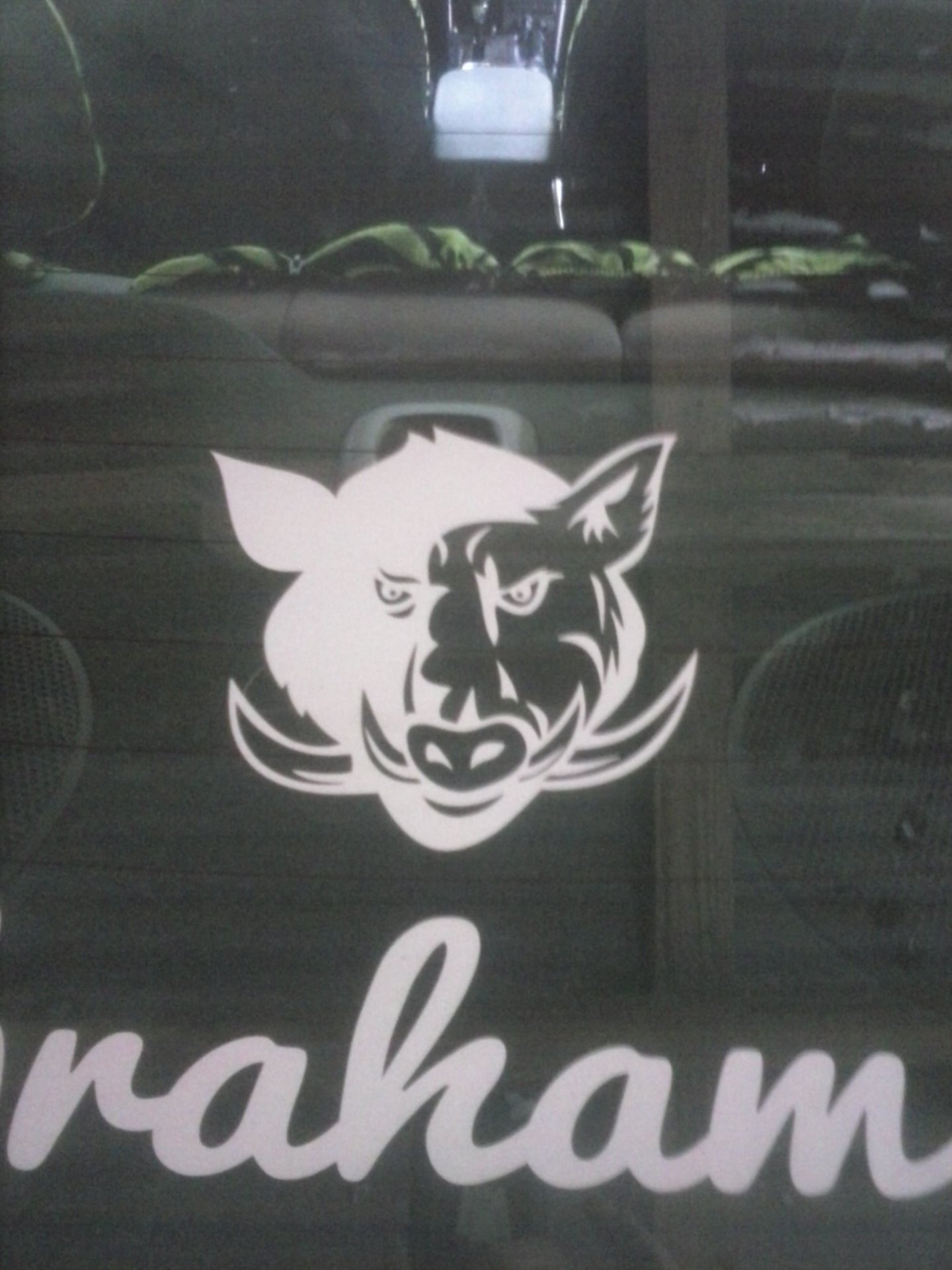 Deedra's photograph of their Wild Boar Pig Sticker