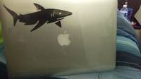 Jon's photograph of their Shark With Large Eyes Swimming Right Sticker