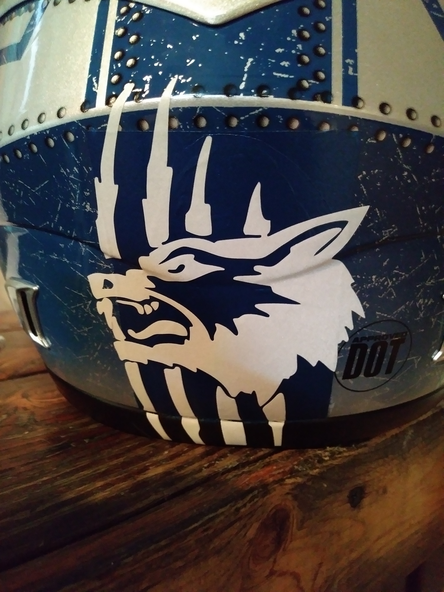 Tina's photograph of their Tiger Cat Sticker