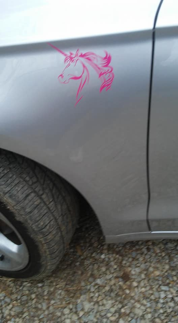 Gail's photograph of their Graceful Unicorn Head Sticker