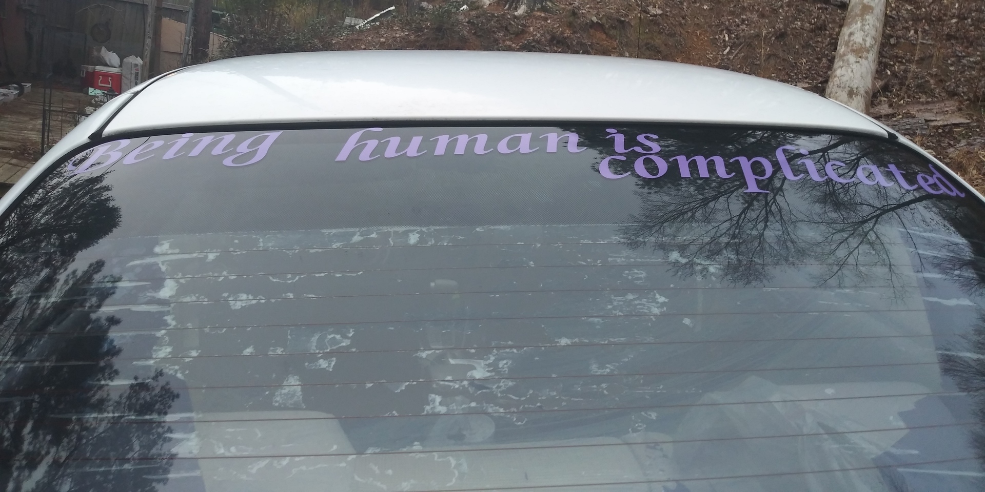 Gail's photograph of their Vinyl Lettering