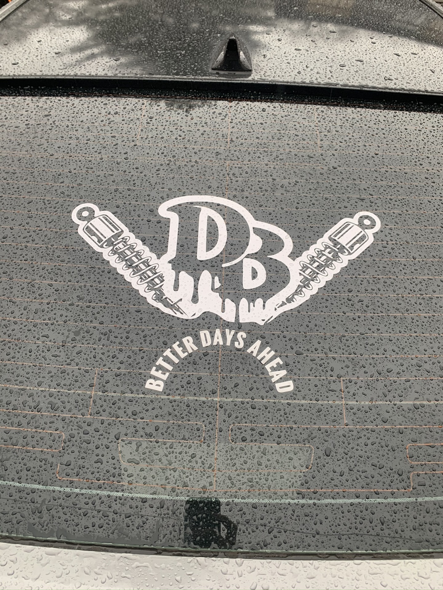 Tarek's photograph of their Transfer Stickers