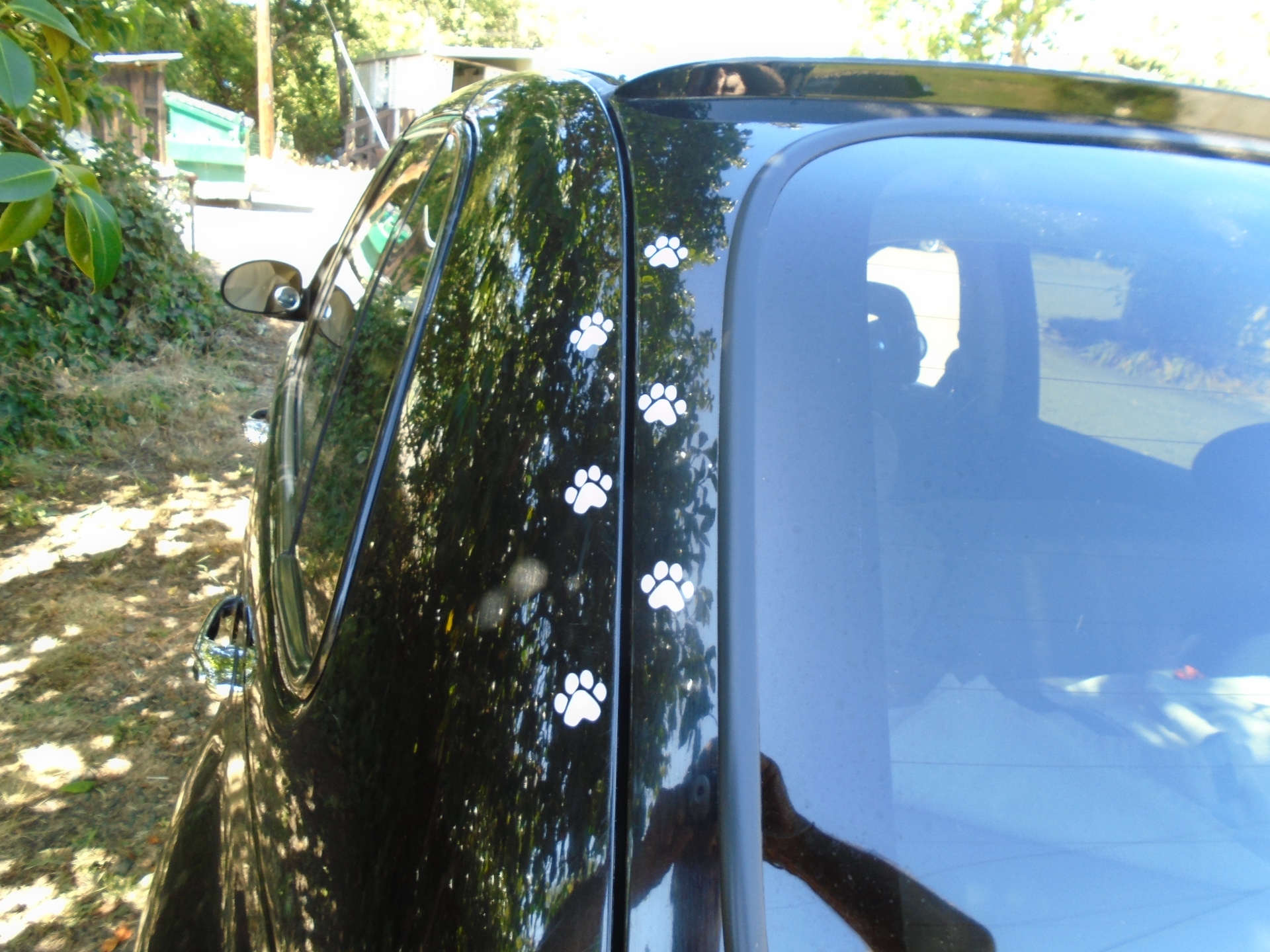 Mr's photograph of their Cat Paw Prints Sticker