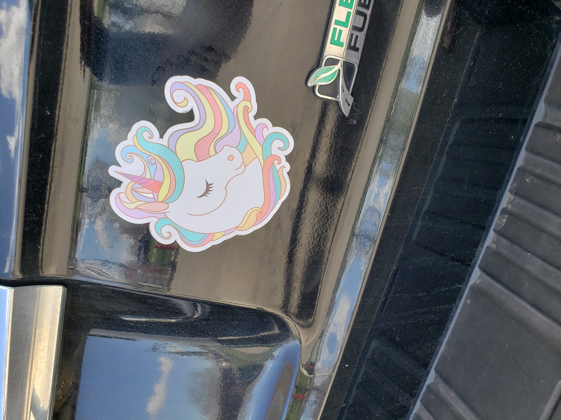 Colleen's photograph of their Flowing Rainbow Mane Unicorn Sticker