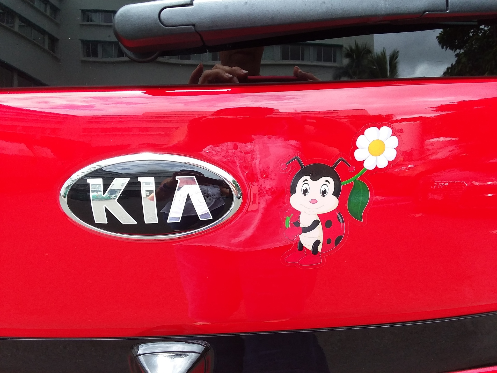 Celia's photograph of their Clear Stickers