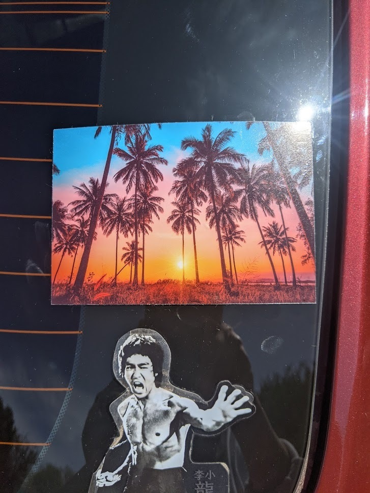 Elaine's photograph of their Palm Trees At Sunset Sticker