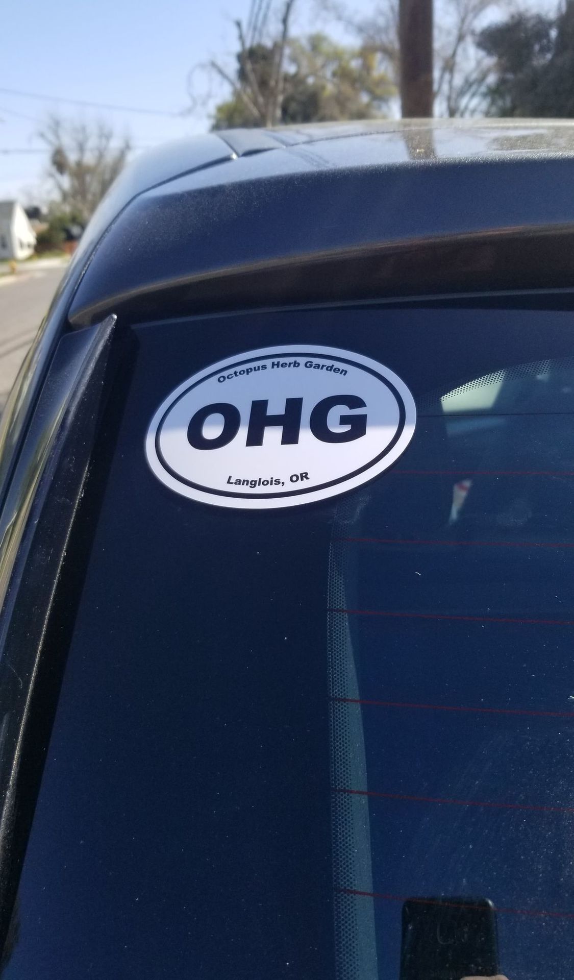 Andrew's photograph of their Custom Oval Stickers with Text