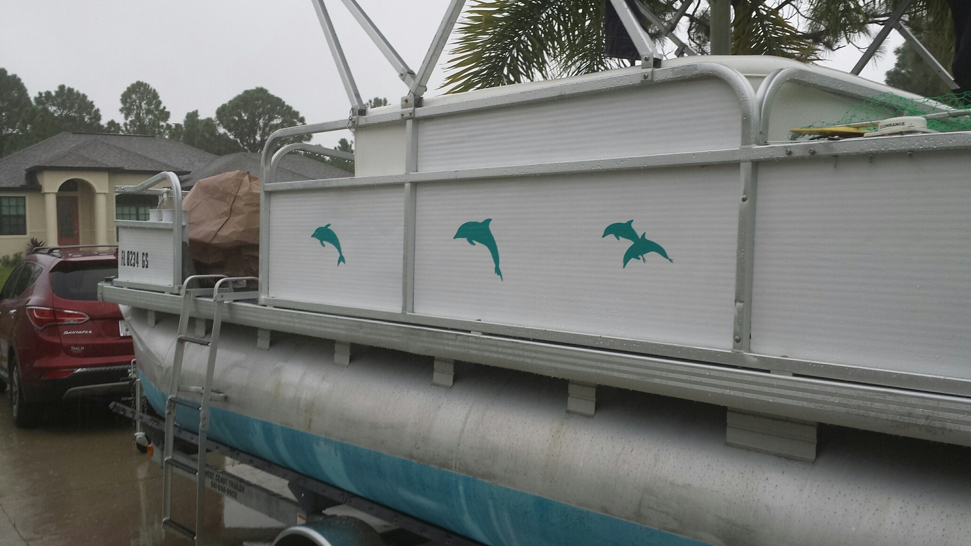 William's photograph of their Two Dolphins Jumping Sticker
