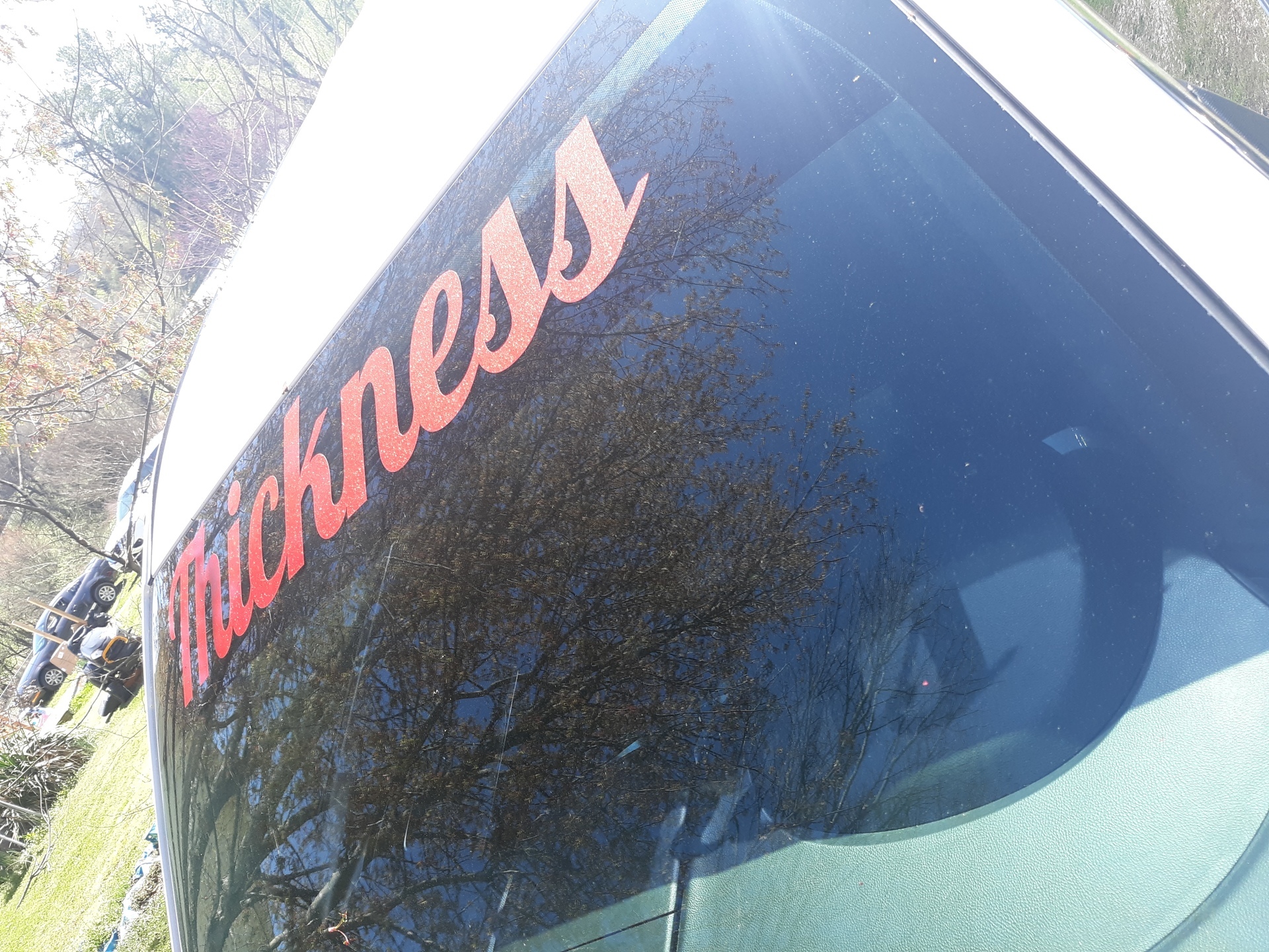 Taneshea's photograph of their Vinyl Lettering
