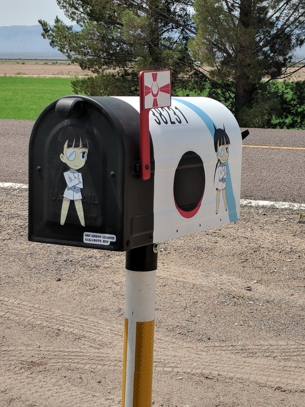 Benjamin's photograph of their Multi-Color Transfer Stickers