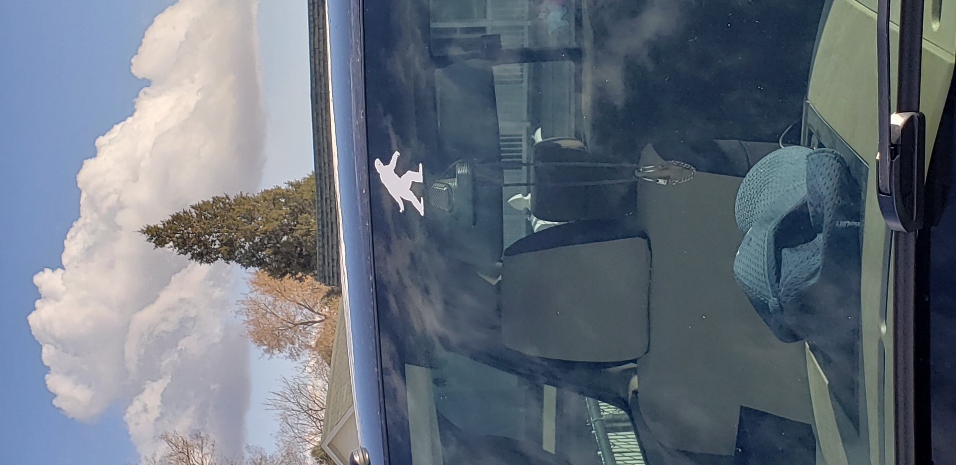 Ryan's photograph of their Bigfoot or Sasquatch Sighting Sticker