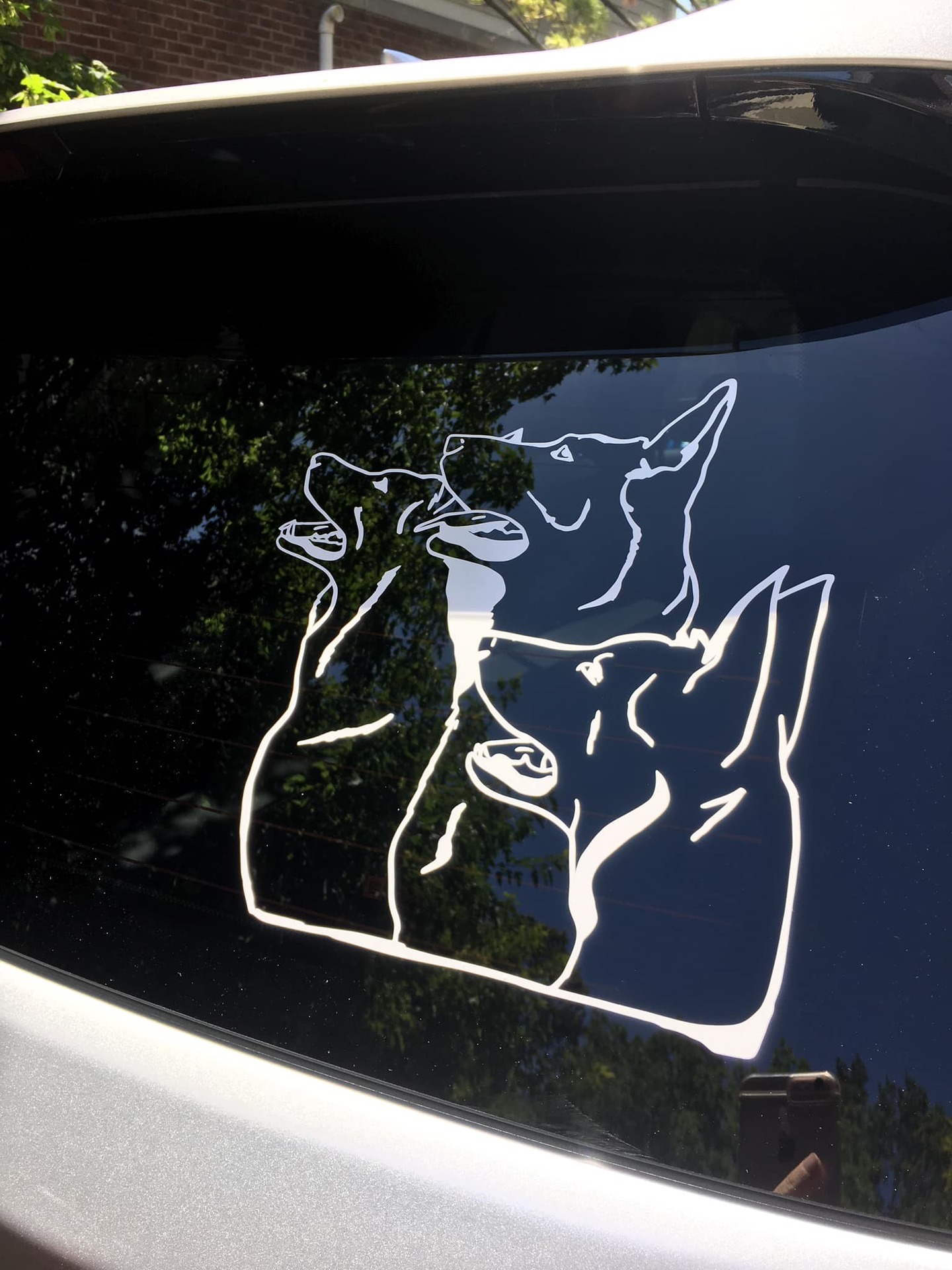Lisa's photograph of their Transfer Stickers