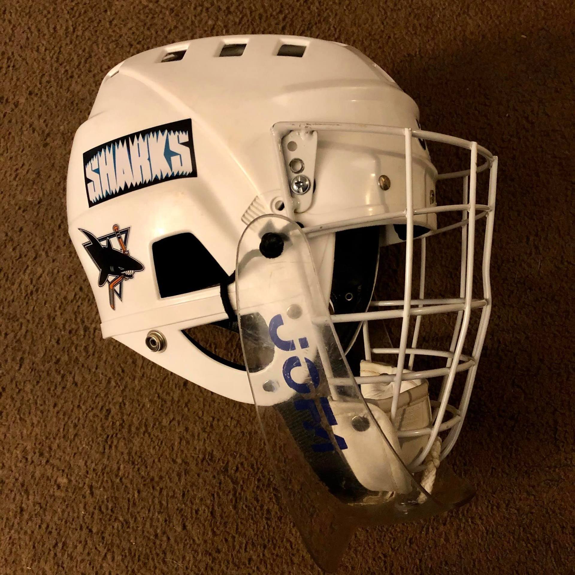 Keith's photograph of their Helmet Stickers