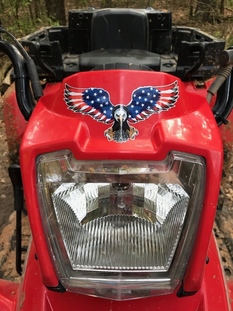 Doug's photograph of their Soaring American Eagle With USA Flag Wings Sticker