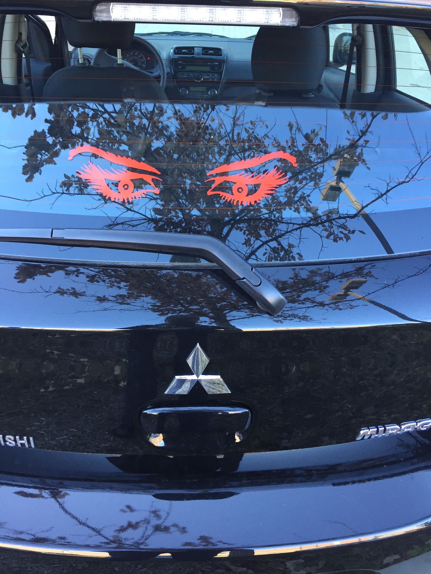 Shirley's photograph of their Woman's Eyes Sticker