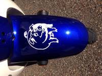Dale's photograph of their Running Buck Sticker