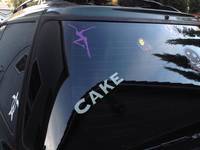 Gina's photograph of their Cake Vinyl Lettering Sticker