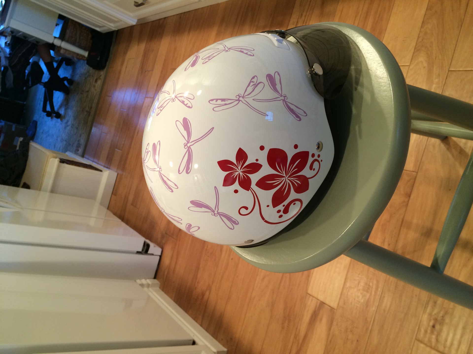 Suzanne's photograph of their Three Dragonflies Sticker