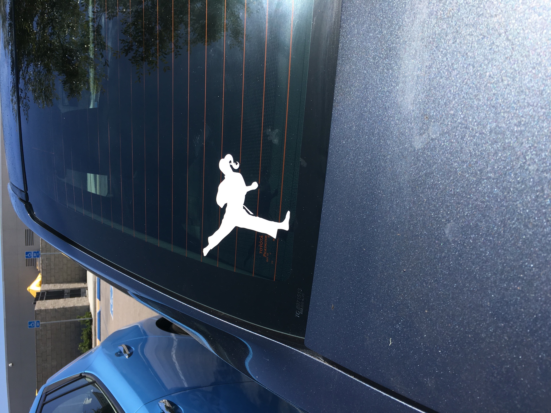 Dennis's photograph of their Martial Arts Karate Girl With Pony Tail Back Kick Sticker
