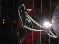 Diana's photograph of their Outline Dolphin Sticker